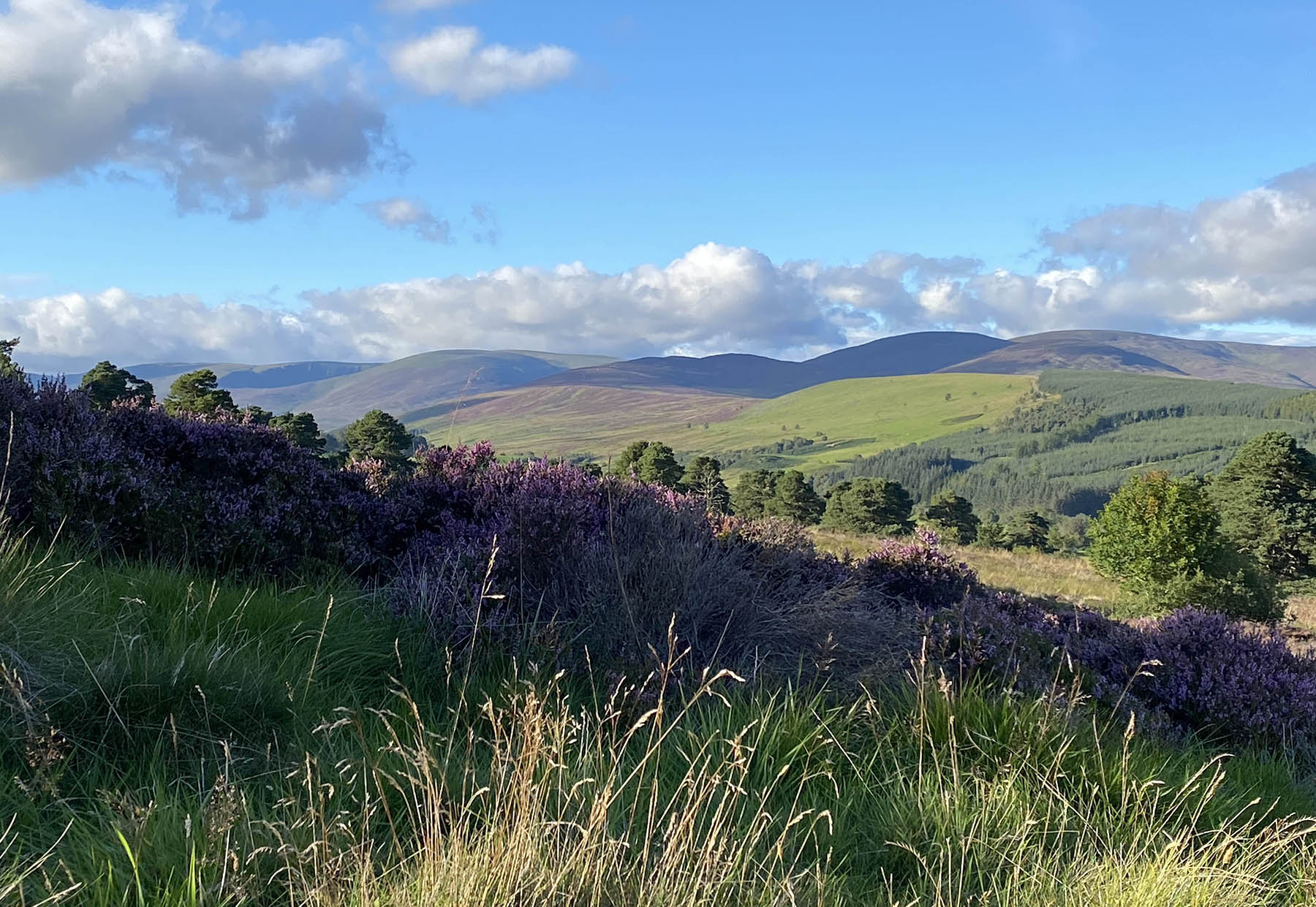 Photo showing the Airlie Valley